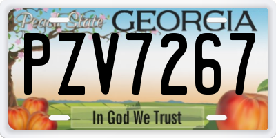 GA license plate PZV7267