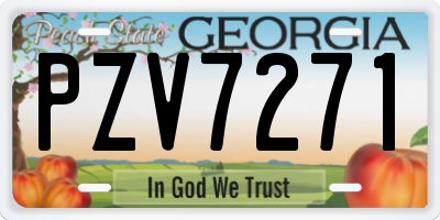 GA license plate PZV7271