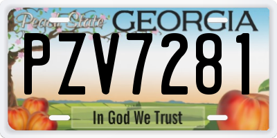 GA license plate PZV7281