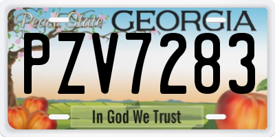 GA license plate PZV7283