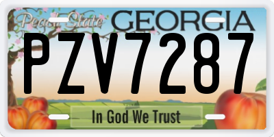 GA license plate PZV7287