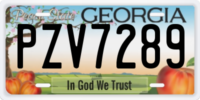 GA license plate PZV7289