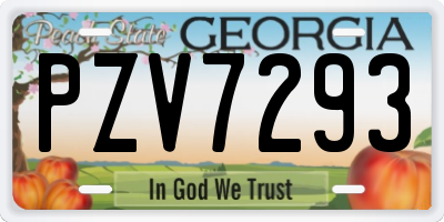 GA license plate PZV7293