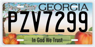 GA license plate PZV7299