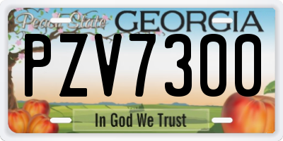 GA license plate PZV7300