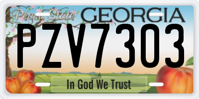 GA license plate PZV7303