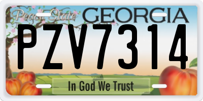 GA license plate PZV7314