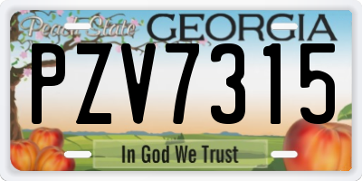 GA license plate PZV7315
