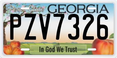 GA license plate PZV7326