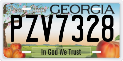 GA license plate PZV7328