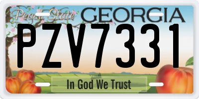 GA license plate PZV7331