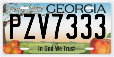 GA license plate PZV7333
