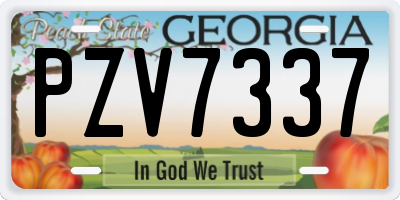 GA license plate PZV7337