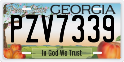 GA license plate PZV7339