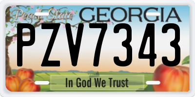 GA license plate PZV7343
