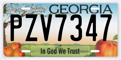 GA license plate PZV7347