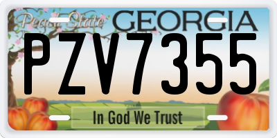 GA license plate PZV7355