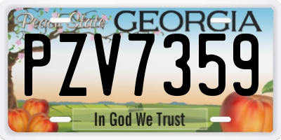 GA license plate PZV7359