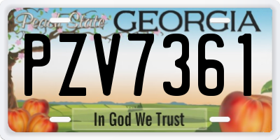 GA license plate PZV7361