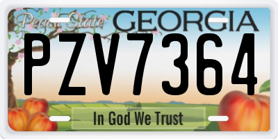 GA license plate PZV7364
