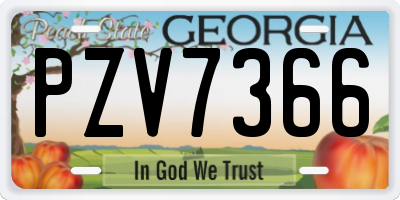 GA license plate PZV7366