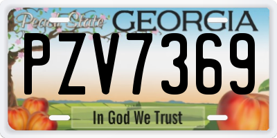 GA license plate PZV7369