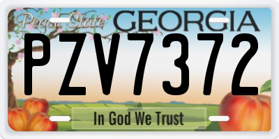 GA license plate PZV7372