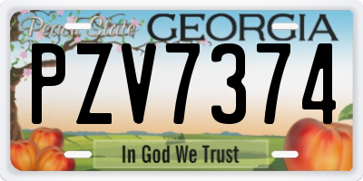 GA license plate PZV7374