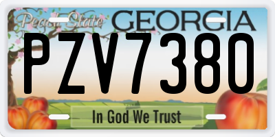 GA license plate PZV7380