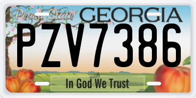 GA license plate PZV7386