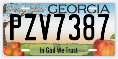GA license plate PZV7387
