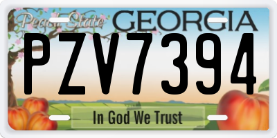 GA license plate PZV7394