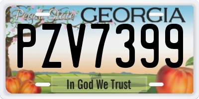 GA license plate PZV7399