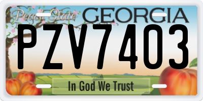 GA license plate PZV7403