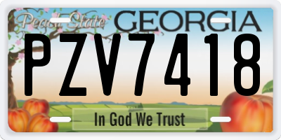 GA license plate PZV7418