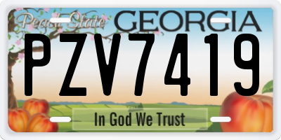 GA license plate PZV7419