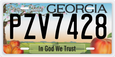 GA license plate PZV7428