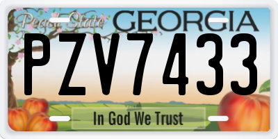 GA license plate PZV7433