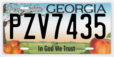 GA license plate PZV7435