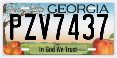 GA license plate PZV7437