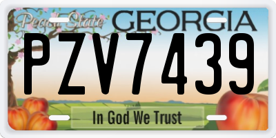 GA license plate PZV7439