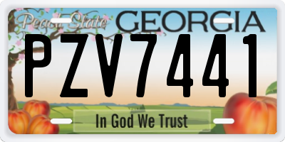 GA license plate PZV7441