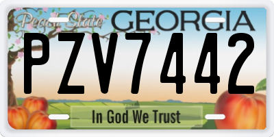 GA license plate PZV7442