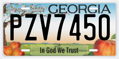 GA license plate PZV7450