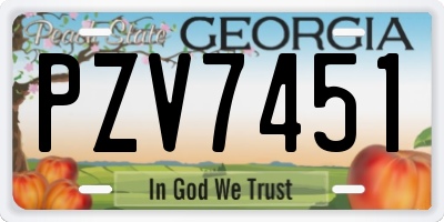 GA license plate PZV7451