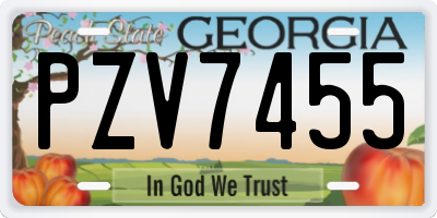 GA license plate PZV7455