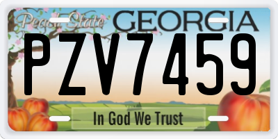 GA license plate PZV7459