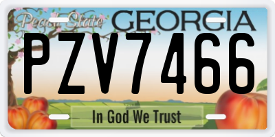 GA license plate PZV7466