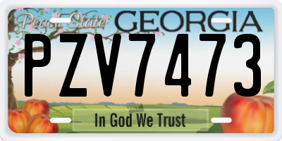GA license plate PZV7473