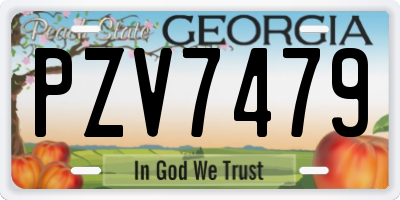GA license plate PZV7479